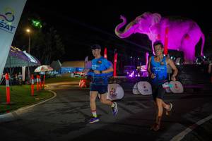 BIB: 
                            <button type="button" onclick="openModal(26552106)" class="btn btn-primary btn-sm float-right btn-popup" data-toggle="modal" data-target=".modal-high-quality">
                        <i class="fas fa-shopping-cart"></i> Add to Cart
                    </button>
                                            <button type="button" onclick="isThisMe(26552106, true)" class="btn btn-success btn-sm float-right btn-popup btn-isme hidden" data-toggle="tooltip" data-placement="bottom" title="นี่คือรูปของคุณใช่ไหม คลิกที่นี่เพื่อเอาเข้าอัลบั้ม">
                        <i class="fas fa-plus"></i> Add to album
                    </button>
                    <button type="button" onclick="isThisMe(26552106, false)" class="btn btn-warning btn-sm float-right btn-popup btn-isnotme hidden">
                        <i class="fas fa-ban"></i> Remove from album
                    </button>